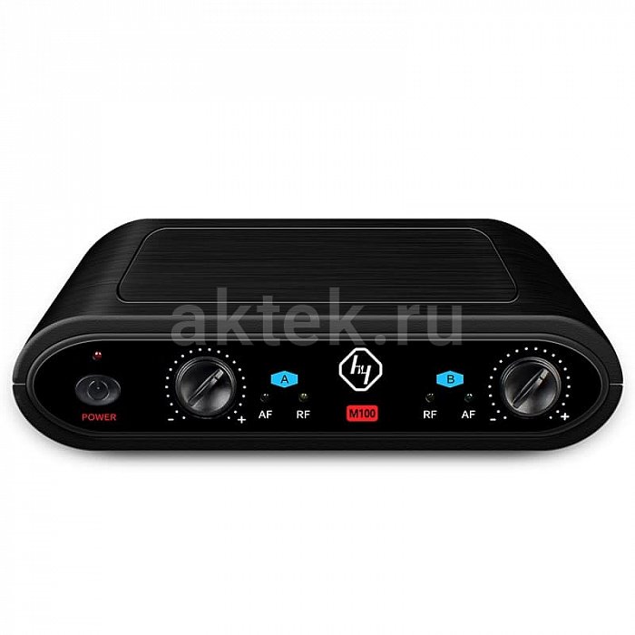 Беспроводные микрофоны для караоке KINMA M100 2