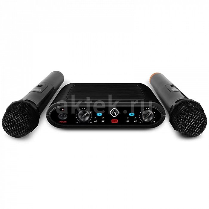 Беспроводные микрофоны для караоке KINMA M100 3