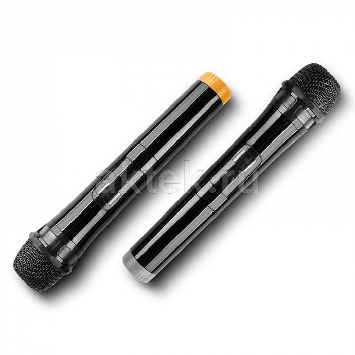 Беспроводные микрофоны для караоке KINMA M100 5