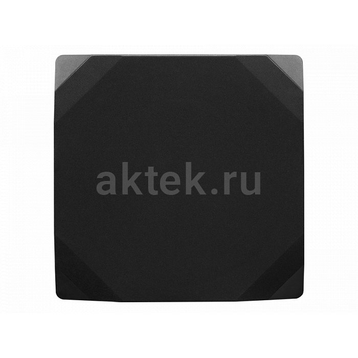 Активный сабвуфер Emotiva BasX S10 2