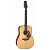 Акустическая гитара TAKAMINE EF340S-TT