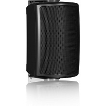 Пассивная профессиональная колонка Tannoy AMS 5DC 2