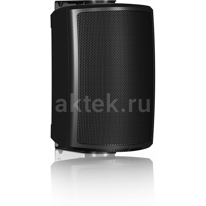 Пассивная профессиональная колонка Tannoy AMS 5DC 2