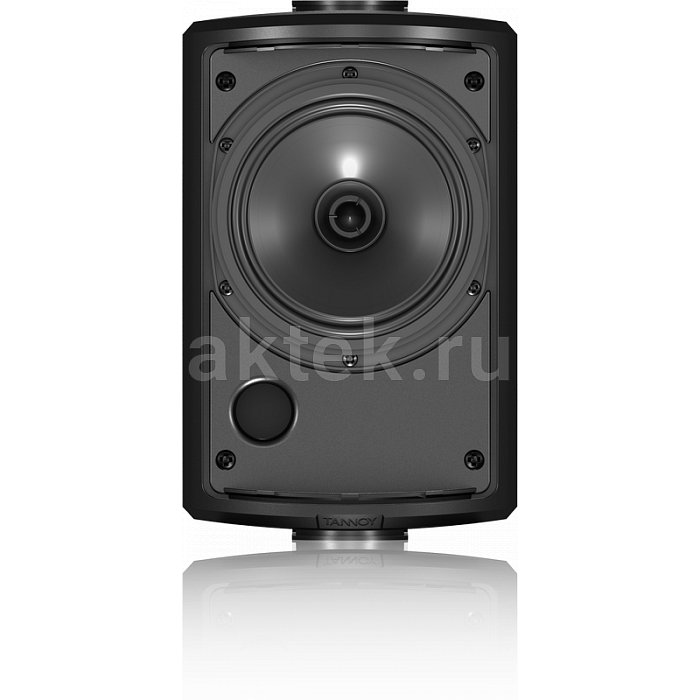 Пассивная профессиональная колонка Tannoy AMS 5DC 3