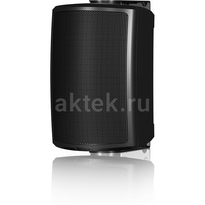 Пассивная профессиональная колонка Tannoy AMS 5DC 5