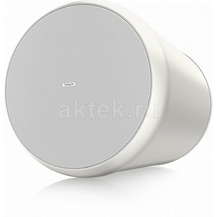 Потолочная акустика Tannoy OCV 6 5