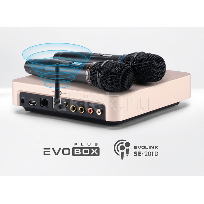 Комплект караоке с микрофонами и саундбаром EVOBOX Plus с годовым обновлением+ EvoSound Bar 2.1 Black 2