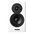 Dynaudio Evoke 10 White High Gloss пассивная полочная АС 140мм/160Вт