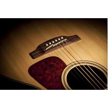 Гитара электроакустическая TAKAMINE G90 SERIES GN93CE 3