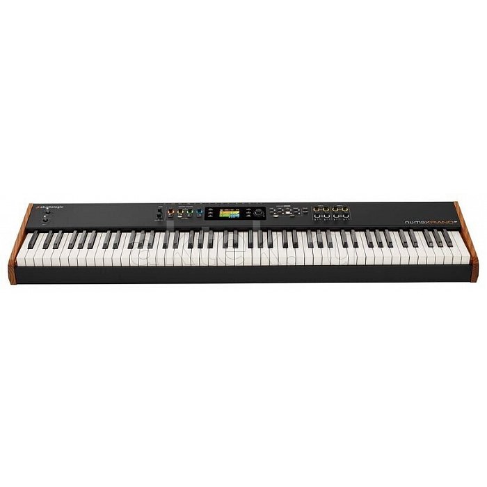 Цифровое пианино Studiologic Numa X Piano GT 16