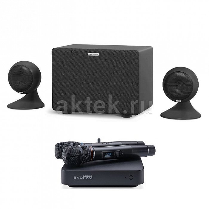 Домашнее профессиональное караоке EVOBOX PLUS Black + Sphere 2.1 Black