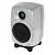 Студийный монитор Genelec 8010 RAW