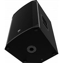 Активная профессиональная двухполосная АС Electro-Voice EKX-15P-EU 2