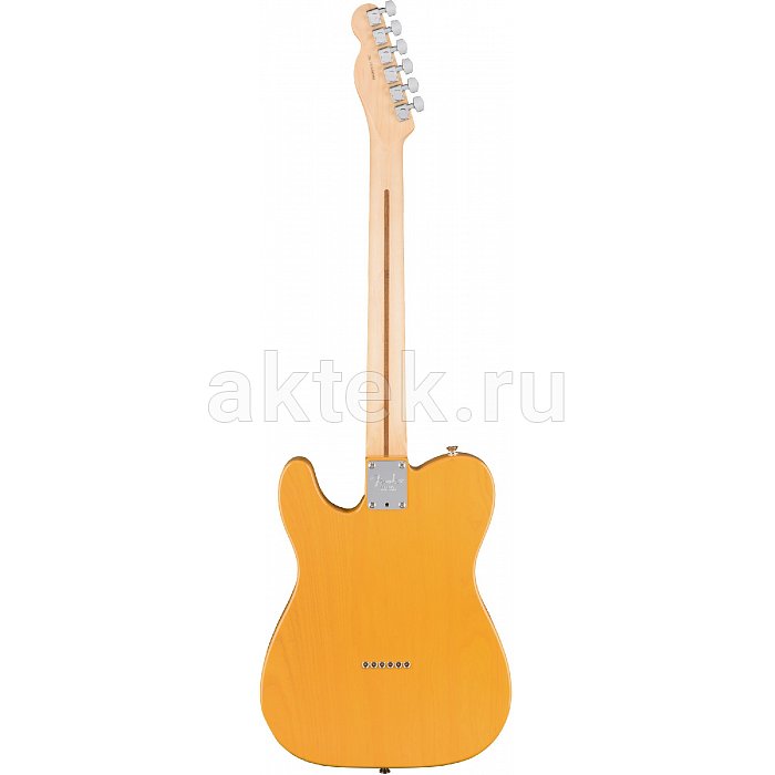 Электрогитара FENDER AM PRO TELE MN BTB (ASH) 2