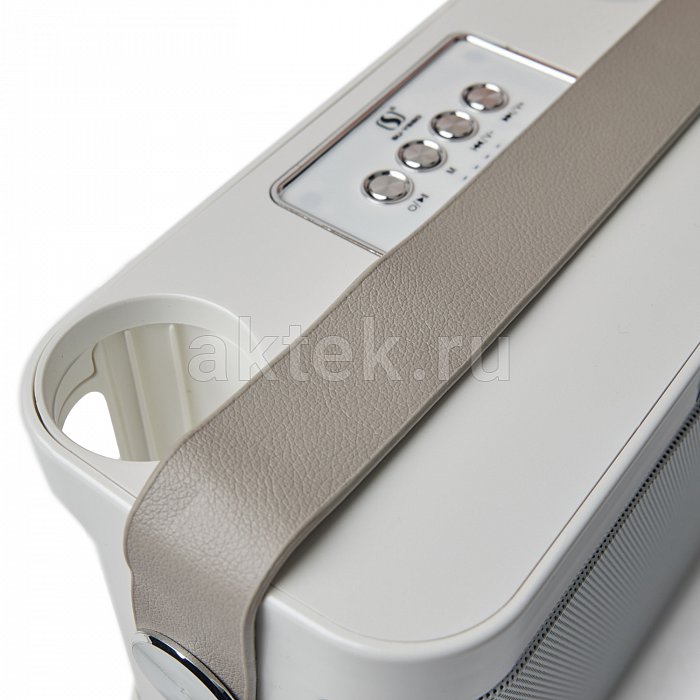 Портативная караоке колонка с микрофонами SkyDisco YS-219 white 9