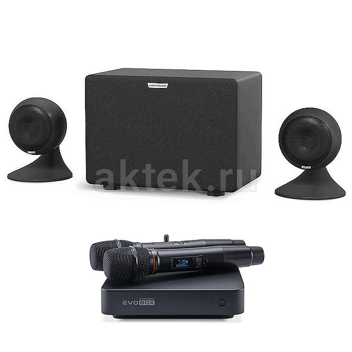 Домашнее профессиональное караоке EVOBOX PLUS с годовым обновлением + Sphere 2.1 Black