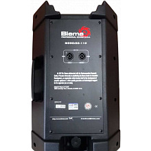 Акустическая система Biema B2-110 2