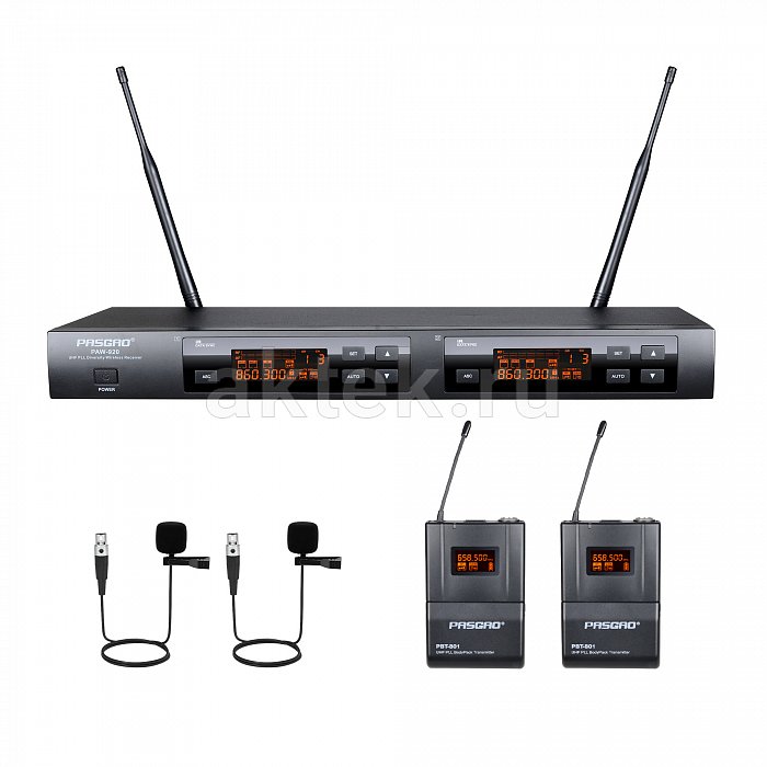 Вокальная двухканальная радиосистема Pasgao PAW-920/2xPBT-801