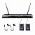 Вокальная двухканальная радиосистема Pasgao PAW-920/2xPBT-801