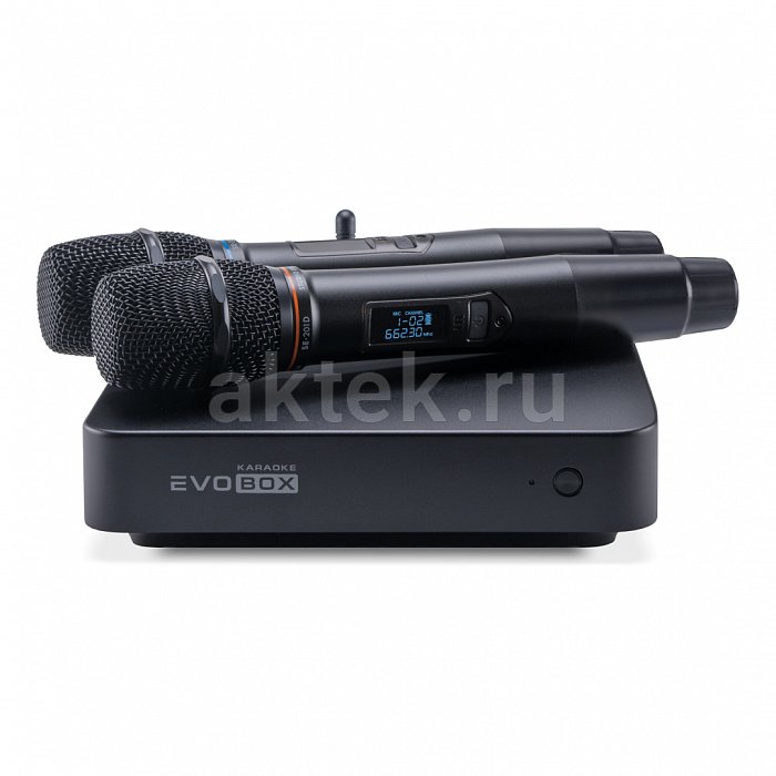 Караоке система с микрофонами и акустикой Studio Evolution EVOBOX Plus+Audio Pro A38 2
