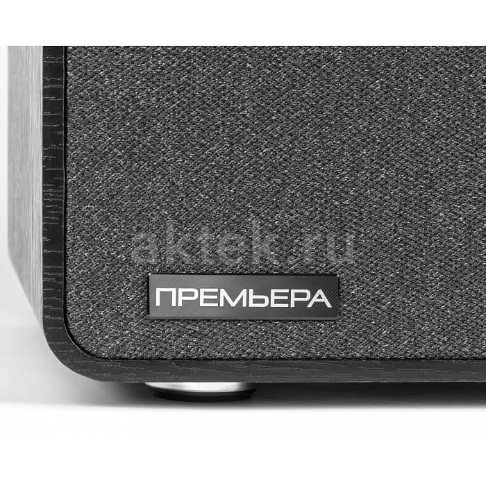 Акустическая система PREMIERA ES-422A BK 6