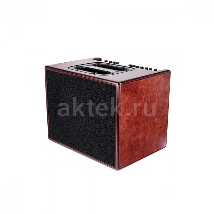 AER Compact 60/4 PMH акустический комбоусилитель, 60 Вт, два канала 2