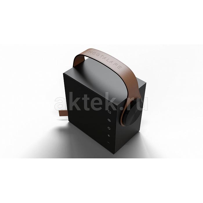 MOREL Biggie Cosmic Black колонка, Bluetooth, 60 Вт 5