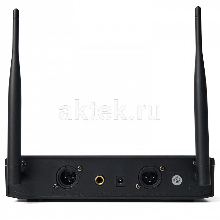 Беспроводные микрофоны для караоке SkyDisco MIC-WL204 3