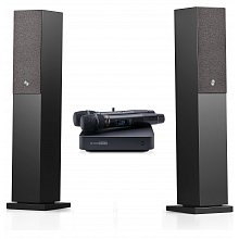 Караоке система с микрофонами и акустикой Studio Evolution EVOBOX Plus+Audio Pro A38