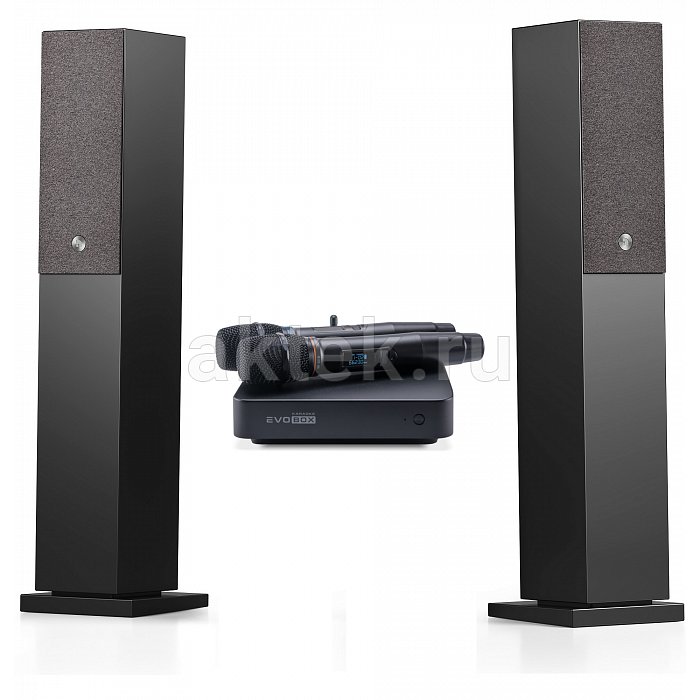 Караоке система с микрофонами и акустикой Studio Evolution EVOBOX Plus+Audio Pro A38