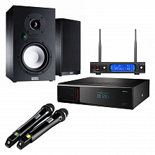Комплект караоке с акустикой AST MINI + Magnat Multi Monitor 220