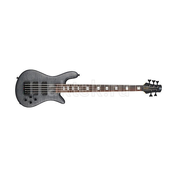 Бас-гитара Spector Euro5 LX Bolt-on Transparent Black 2