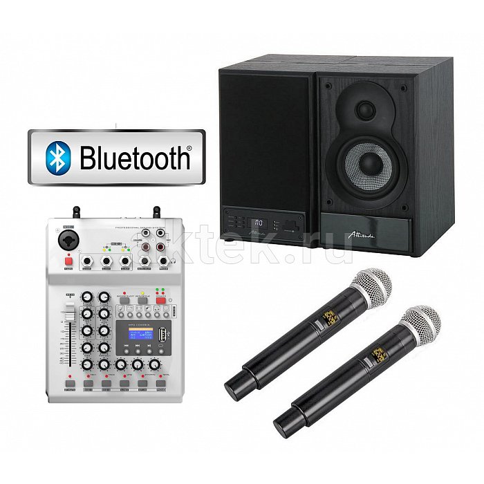 Skydisco karaoke. SKYDISCO um-100 Bluetooth. Noir Audio um-100. Noir-Audio um-100 купить. Купить бюджетную модель микшера с микрофонами SKYDISCO um-100.