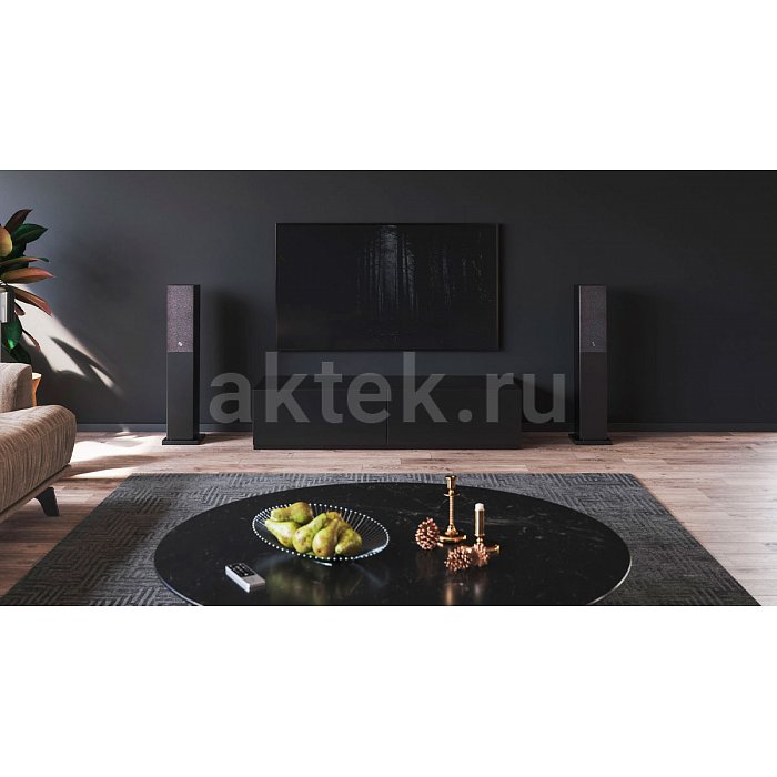 Профессиональная караоке система с микрофонами и акустикой AST Zoom+Audio Pro A38 15