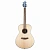 Breedlove Discovery S Concert Sit-MH акустическая гитара