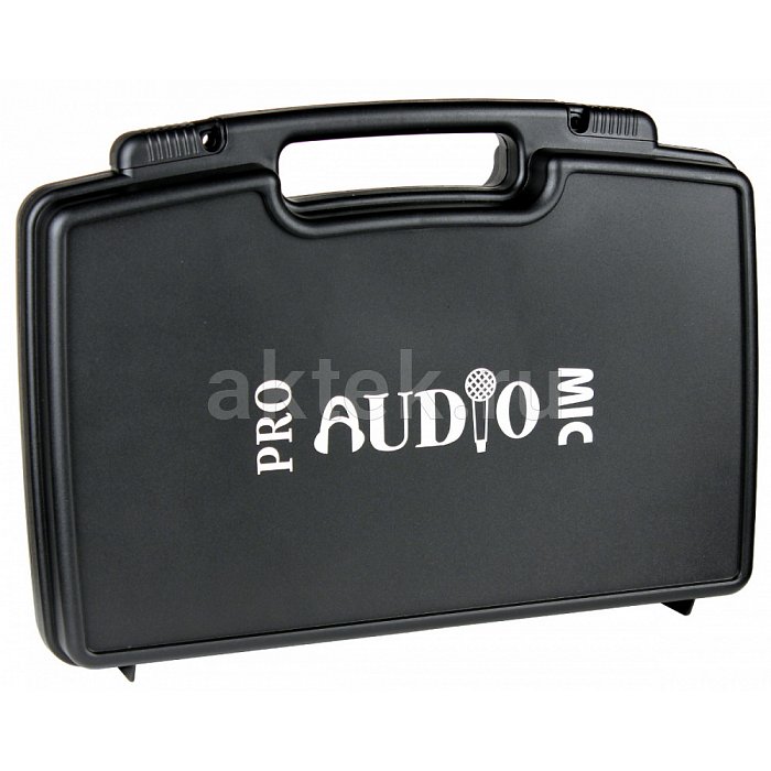 Комплект радиосистема и 2 головных микрофона PROAUDIO DWS-204PT 4