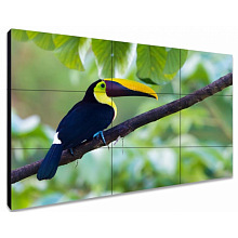 Exell EXPD-WA55AB35 ЖК-панель видеостены 55″ FHD, шов 3,5мм