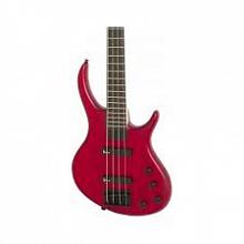 Бас-гитара EPIPHONE Toby Deluxe-IV Bass TRS 2