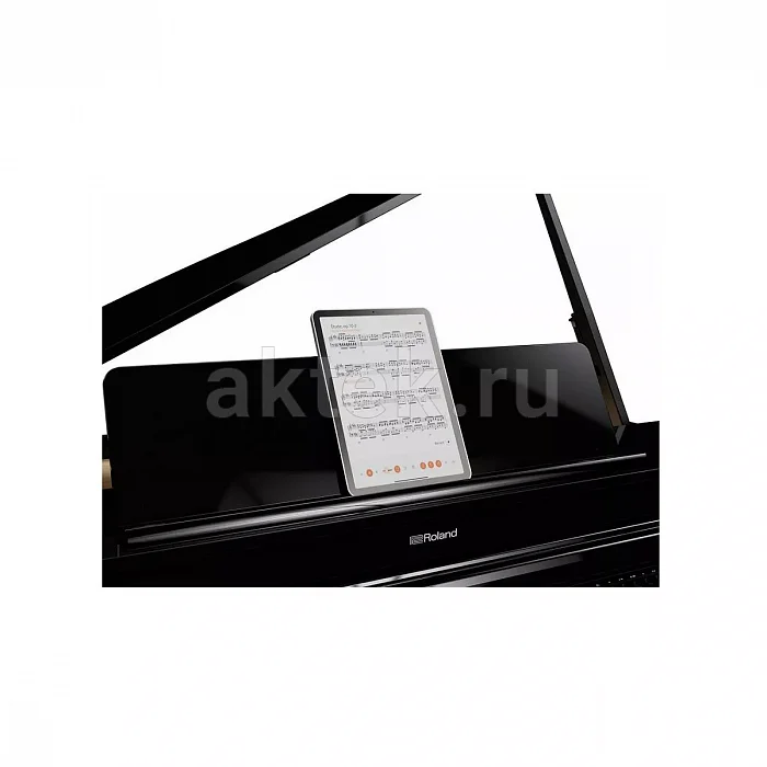 Roland GP 6 PE цифровой рояль, 88 клавиш, 256 голосов 10