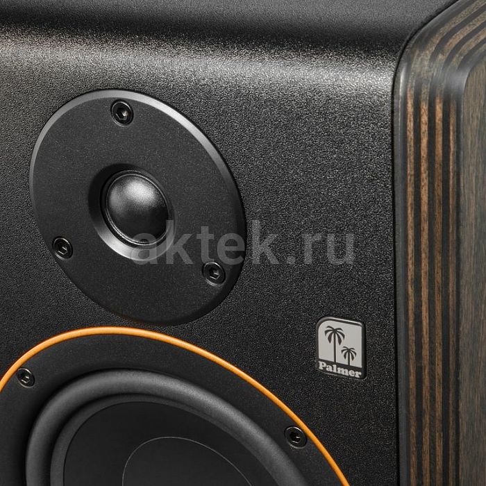 Palmer STUDIMON 5 активный студийный монитор 5″ 2×30Вт 2