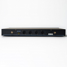 Беспроводные радиомикрофоны SkyDisco MIC-WL44 3