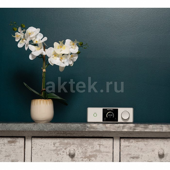 Rotel DX-5 Silver интегральный стереоусилитель 3