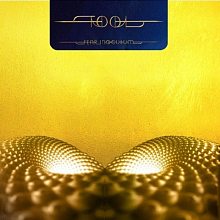 Виниловая пластинка TOOL - FEAR INOCULUM 180 GRAM BLACK VINYL 12"