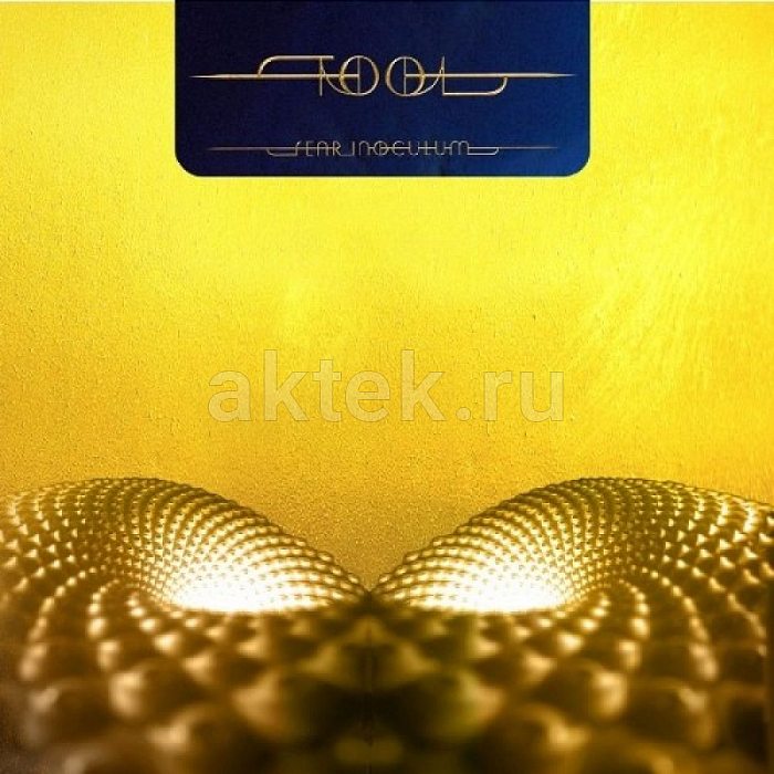 Виниловая пластинка TOOL - FEAR INOCULUM 180 GRAM BLACK VINYL 12"