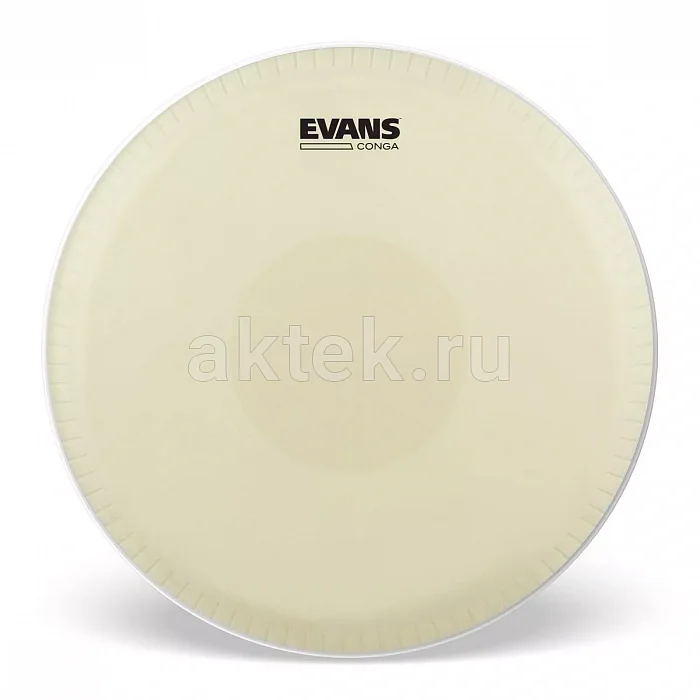 Evans EC1175 Conga Head 11-3/4" барабанный пластик 2