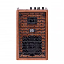 Acus One ForStrings 4Ferdi Wood акустический комбоусилитель, 40 Вт, USB-C