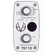 Студийный сабвуфер EVE AUDIO TS110 3