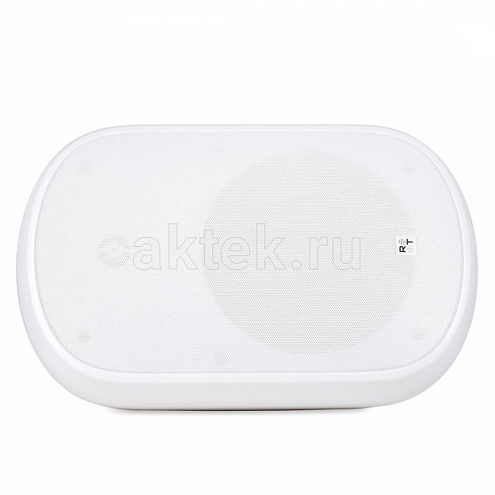 Всепогодная акустическая система Radiotehnika RT PARK 8T White 4