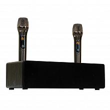 Домашний комплект караоке SkyDisco Karaoke Home Set Plus Final Bass Artifact Black: DVD-плеер, микрофоны, акустика, диск 2000 песен 2