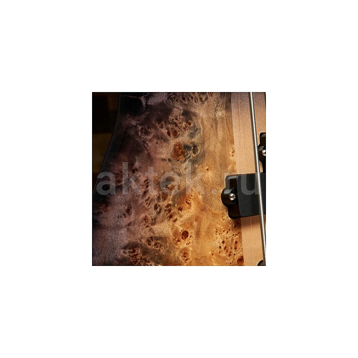 Бас-гитара Spector Euro5 CST Natural 6
